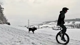 Snow Around the House