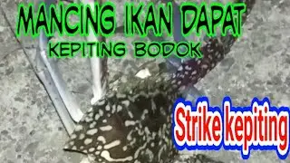 Mancing ikan dapat kepiting besa di dermaga dongkala, fishing mania
