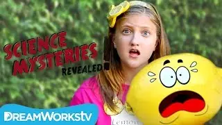 Why Are Lemons Sour? | SCIENCE MYSTERIES REVEALED