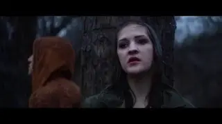Mirror in the Forest - Teaser Trailer