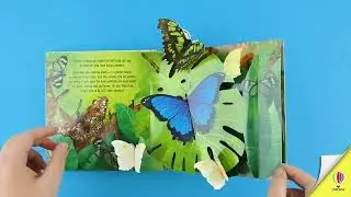Pop-Up Butterflies