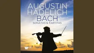 Sonata for Solo Violin No. 1 in G Minor, BWV 1001: IV. Presto