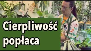 URATOWAŁEM JE W SPAGHNUM ‼️‼️‼️