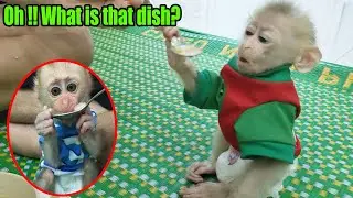 Dad cooked beef porridge for baby monkeys Ricky and Rocky