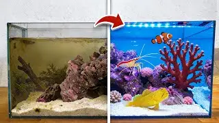 I FINALLY Tried Coral in My FIRST Saltwater Tank&hellip;