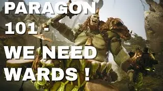 PARAGON 101 - USE WARDS - BASIC WARDING GUIDE.