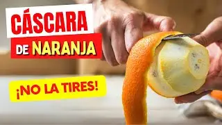 ¡NO TIRES LA CÁSCARA DE NARANJA! Beneficios y Cómo Usarla Correctamente