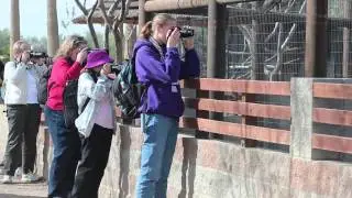 Arizona Highways Photo Workshops Wildlife World Zoo Workshop HD