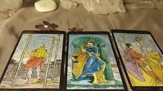 Ascension Energy Check-in - Full Blood Moon / XX Quick Animal Communication Tutorial
