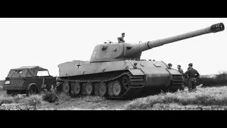 White Tiger Liberation86E adaptation with L&ouml;we.