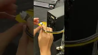 Why Everyone Wants Goldshell XT Box 🏅