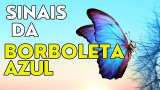 OS SINAIS DOS ANJOS NA BORBOLETA AZUL