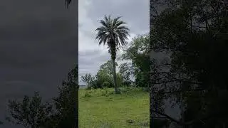 O Casar&atilde;o Mais Assombrado do RS