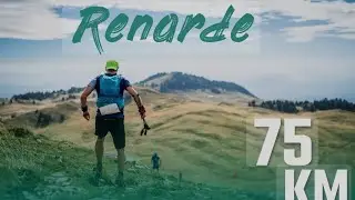 UTMJ La Renarde