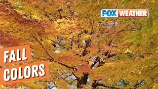 There's Still Time To See Fall Foliage In The Northeast This Season