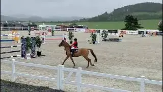 Albert P&iacute;sař&iacute;k a Enjoy MH PN Zduchovice roz