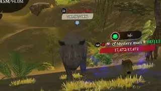 Asian Rhino champion in Jade Pillars- Coop 9 70-79 with my Old friend Bangladesh/Mystery man