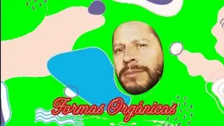 2&deg;: Formas Org&aacute;nicas. Collage con recortes de papeles. Clasificaci&oacute;n, diferencia de formas. Pl&aacute;stica