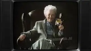 TV: STER Blok (19840218, 2224, Nederland 2) (4 min, einde mist)