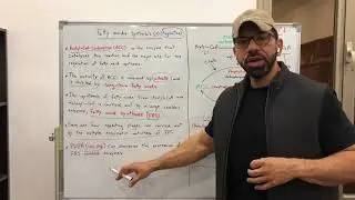 عملية صناعة الأحماض الدهنية (الجزء الثالث) Fatty Acids Synthesis (part 3)