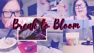 Productivity mindset for creatives (voiceover),Tobby the cat, lunch leftovers breaks, chill vlog