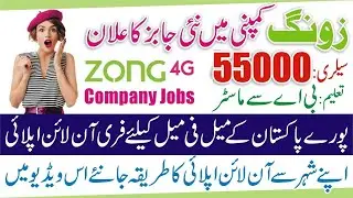 Zong Company Jobs 2024 - Zong Pakistan Jobs 2024 - Jobs in Zong Pakistan - Jobs in Zong Franchise