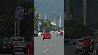 the 