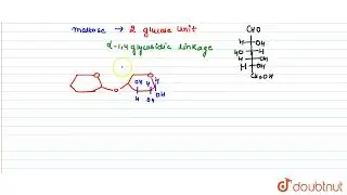 Which of the following is correct structure of alpha-anomer of maltose ?  | CLASS 12 | JEE MAIN ...