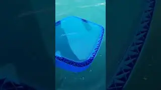 Pool life hack - Lazy net trick for top floating bugs and debris