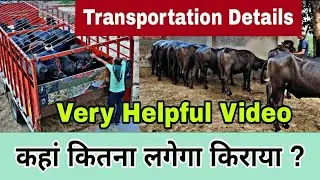 Animals Transportation Details : जानिए कहां कितना लगेगा किराया - Knowledgeable and Helpful Video