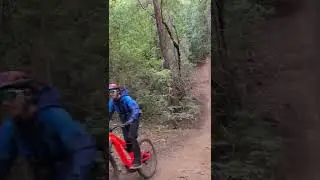 UCSC Dusty's DH steeps