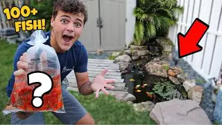 STOCKING My *NEW* Mini POND with COLORFUL FISH!! (crazy)