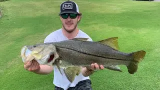 Fishing GIANT Snook and Tarpon in a Golf Course Pond! - Punta Cana