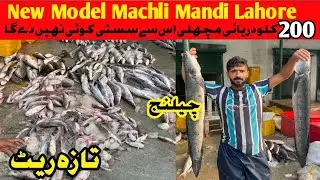 Today new rate list fish market |Machli Mandi Lahore |Pakistan Fish Market |Kholesale market lahore