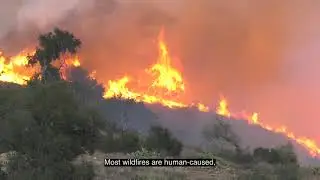Irvine Ranch Conservancy: Red Flag Warning