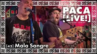 Mala Sangre - PACA [LiVE!] Concert Series [43]