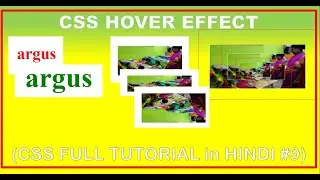 #csstutorial 8 | css hover effects tutorial in hindi | text hover effect in css | image hover zoom