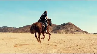I Rode a Horse 300 Miles Across The Namibian Desert