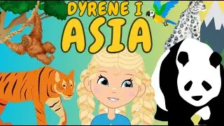 L&aelig;r om dyrene i Asia | L&aelig;ring for barn | Norsk.