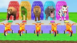 Long Slide Game with Funny Tiger Cow Bear Lion wow gs - 3d Funny Paint Animals Fountain Crossing