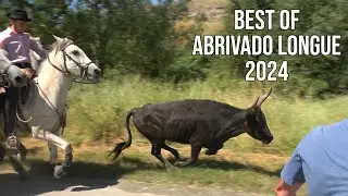 BEST OF ABRIVADO LONGUE SAISON 2024