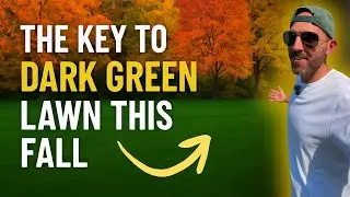 Nitrogen BLITZ or BUST!? // Dark Green Grass by Halloween!