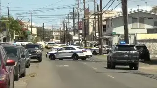 Elderly woman killed in pedestrian crash