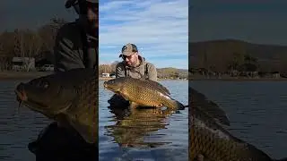 #fishingvideo #carp #fishboat #biglake #neverstopexploring #lake #nature #animals #water