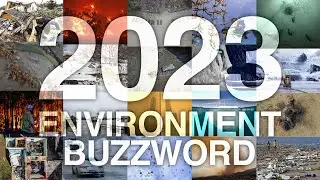 2023 in review: Top environmental issues