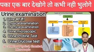 Urine examination analysis @Physical, Chemical, Microscopic  method analysis, @use in Hindi@