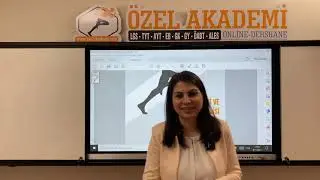 Anatomi Giriş ve Tanımlar