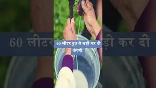 PARAS MILK SUCCESS STORY || MILK||  #trending#viralshorts