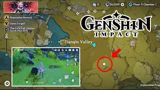 Exquisite Chest at the Tiangqui Valley | Dig | Genshin Impact update 6.1  #genshinimpact #genshin