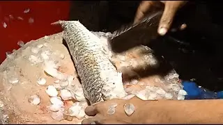 Amazing Fish Cutting | Big Fish Cleaning & Expert Cutting Skills